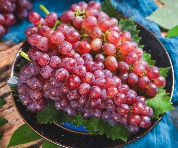 Crimson Grapes have a plethora of health benefits
